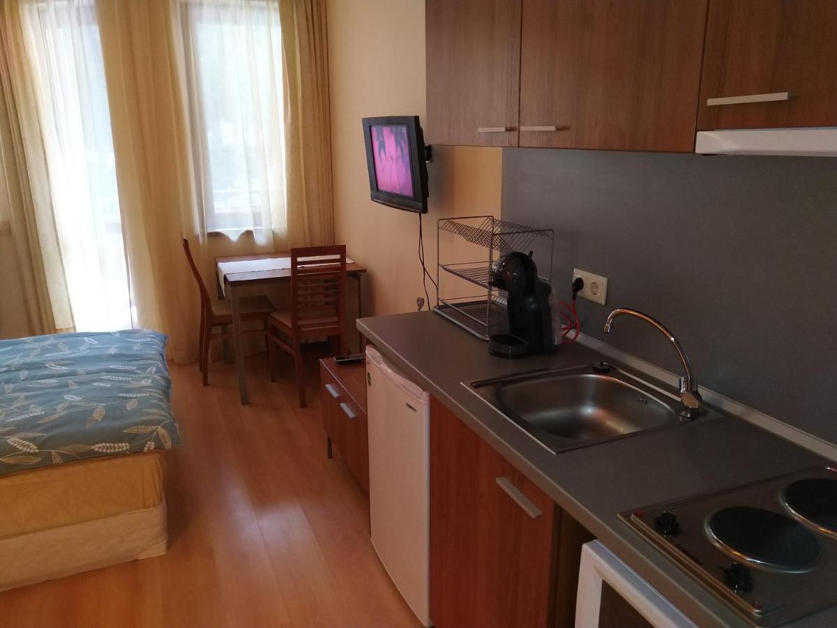בורובץ Studio Villa Park 207 מראה חיצוני תמונה